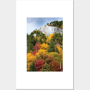 Deer Leap / Sherburne Pass, Vermont Posters and Art